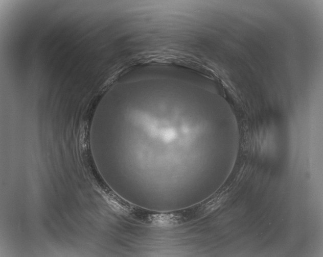 X0000084020273200702161235