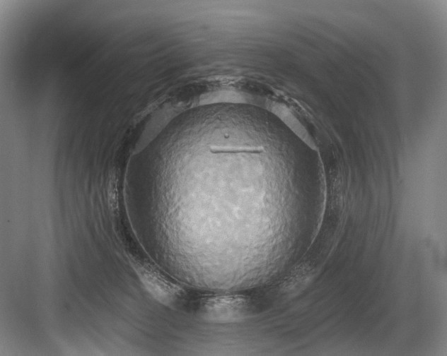 X0000084020274200702161235