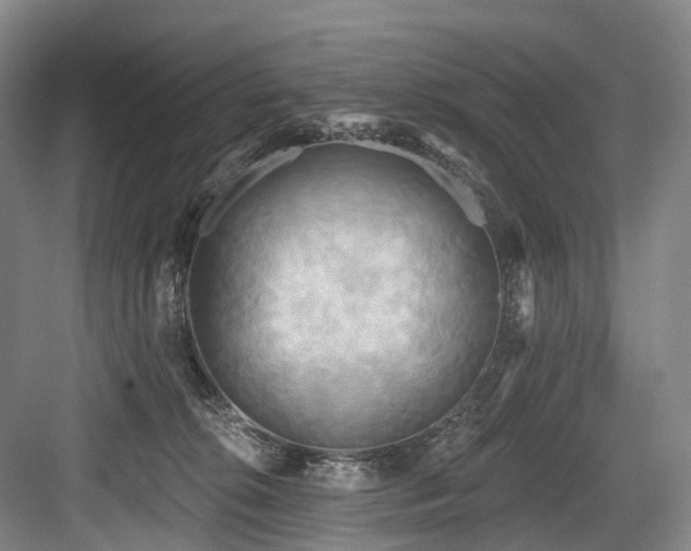X0000084020276200702161235