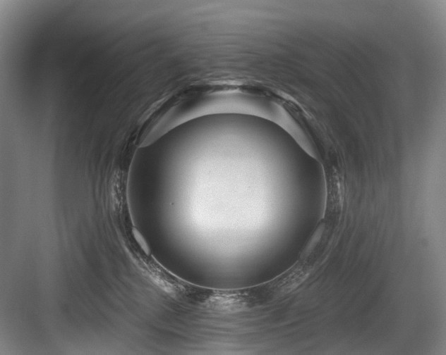 X0000084020280200702161236