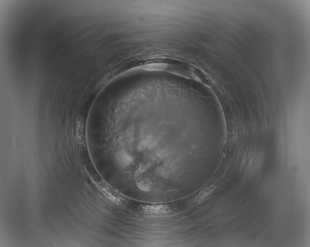 X0000084020281200702161236
