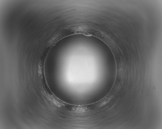 X0000084020282200702161236