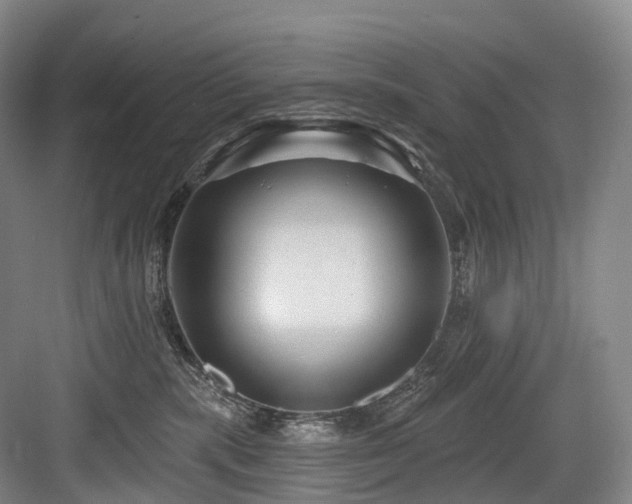 X0000084020283200702161236
