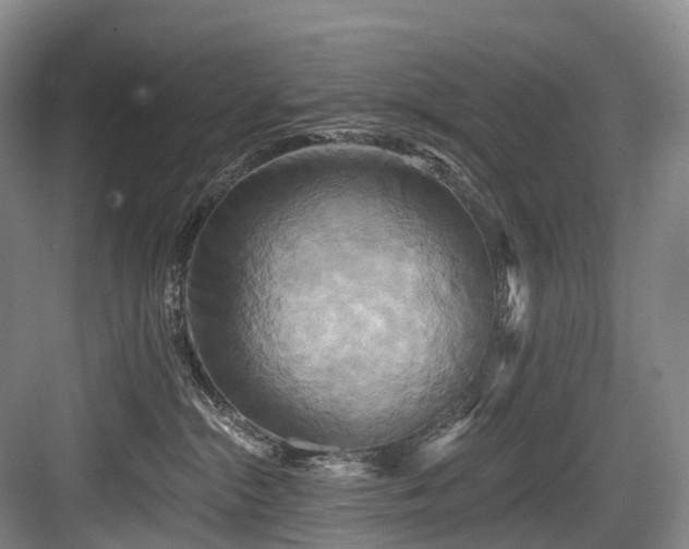 X0000084020284200702161236