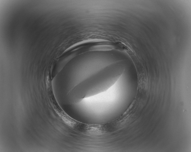 X0000084020285200702161236
