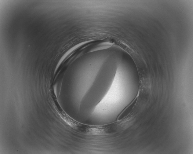 X0000084020286200702161236