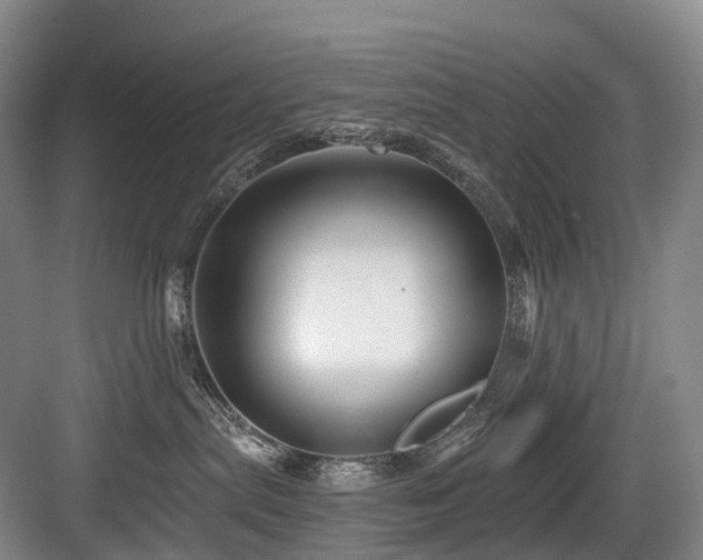 X0000084020287200702161236