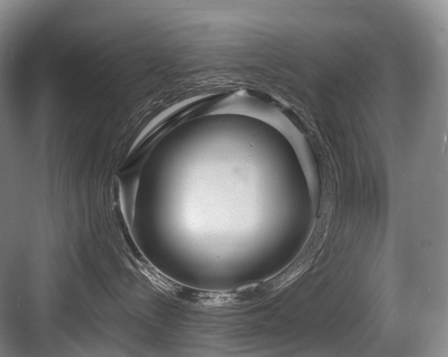 X0000084020288200702161236