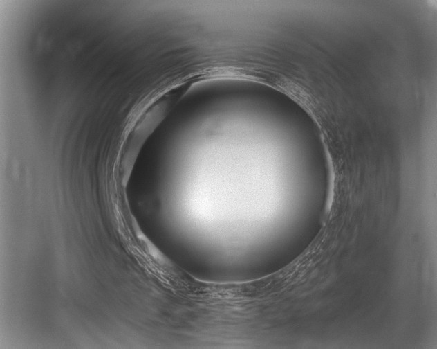 X0000084020289200702161235