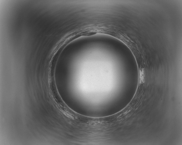 X0000084020291200702161235