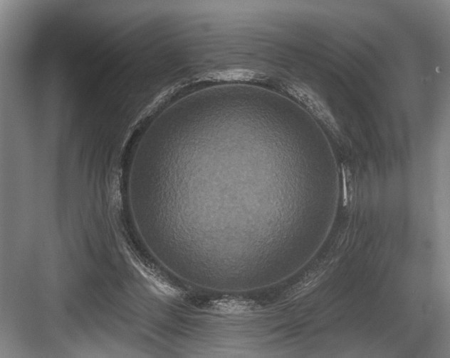 X0000084020300200702161235