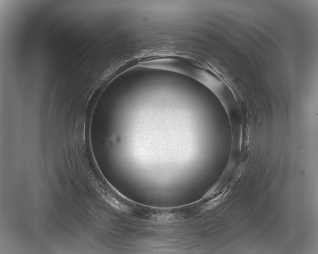 X0000084020301200702161235