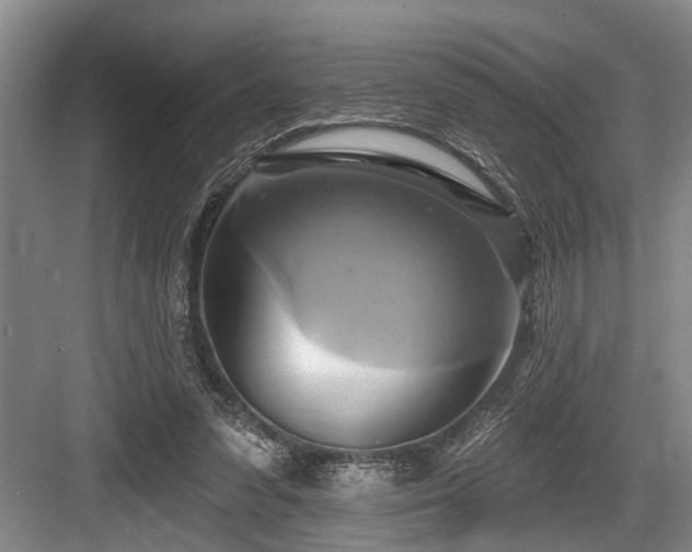X0000084020303200702161235