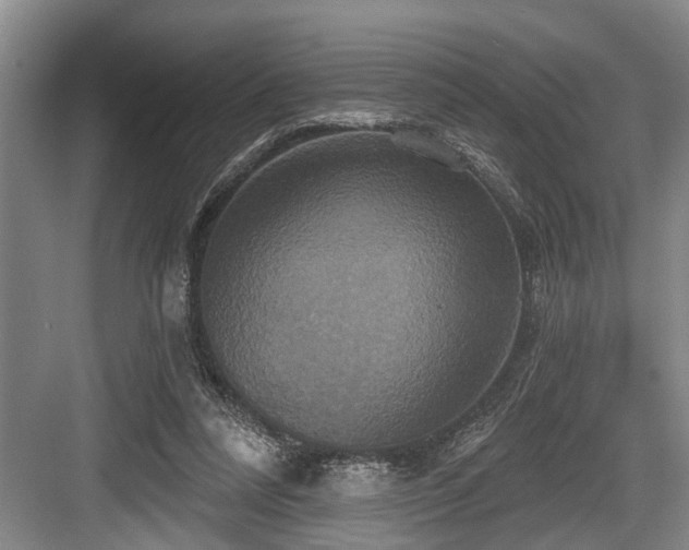 X0000084020304200702161235