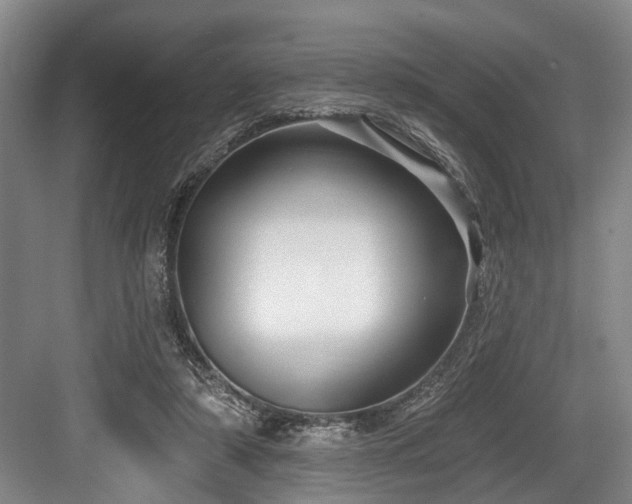 X0000084020306200702161235