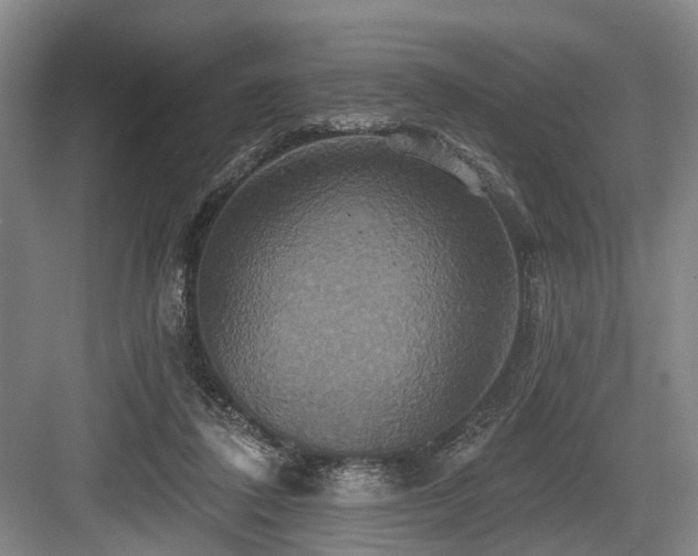 X0000084020308200702161235