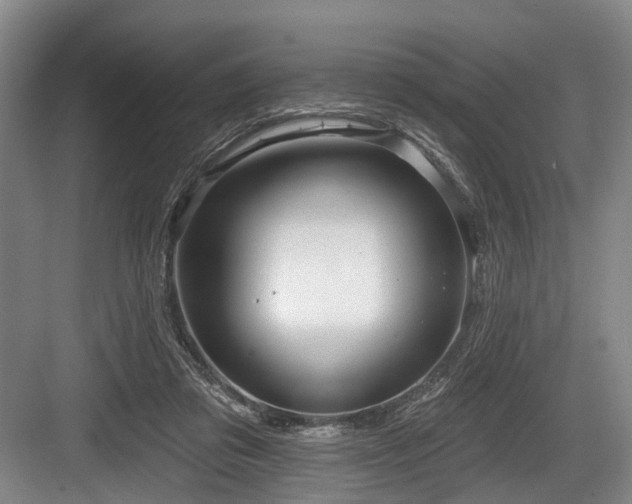 X0000084020309200702161235