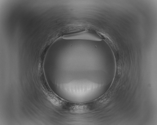 X0000084020314200702161234