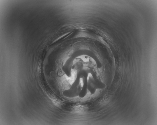 X0000084020315200702161234
