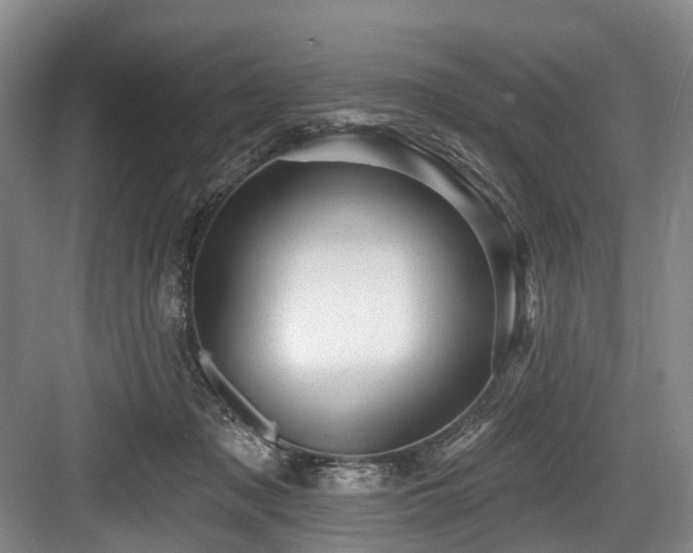 X0000084020317200702161234