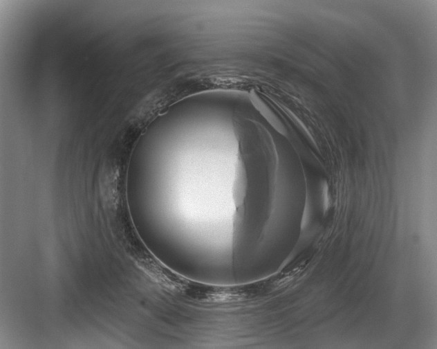 X0000084020319200702161234
