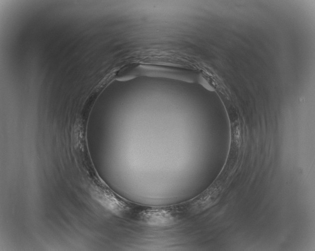 X0000084020322200702161234