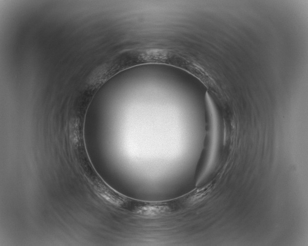 X0000084020323200702161234