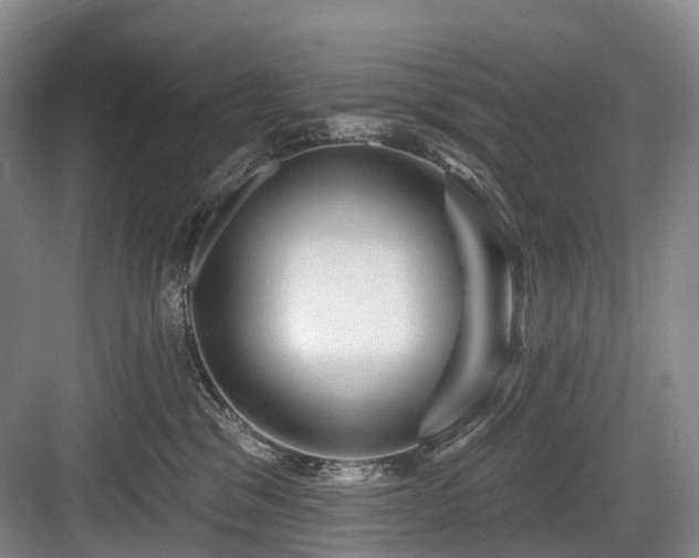 X0000084020329200702161234