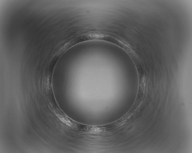 X0000084020330200702161234