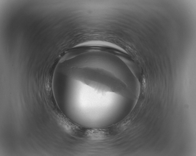 X0000084020331200702161234