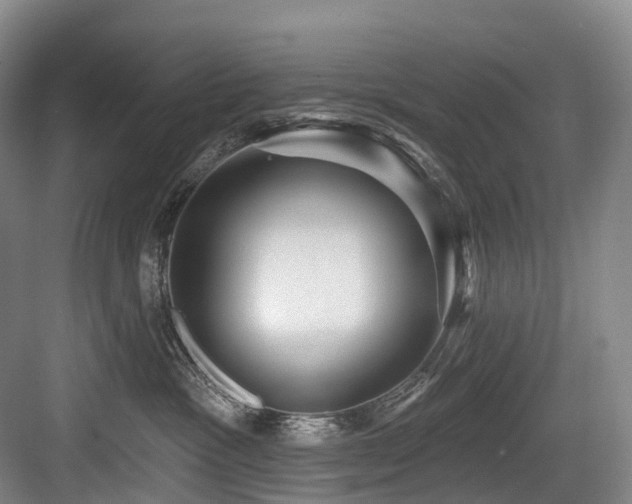 X0000084020333200702161234