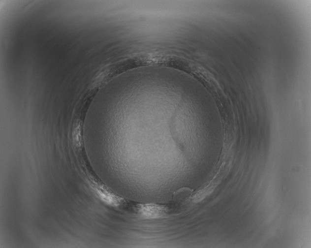 X0000084020336200702161234
