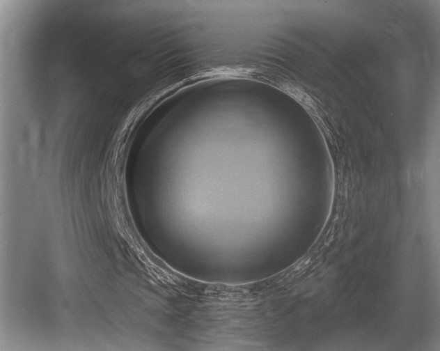 X0000084020337200702161233