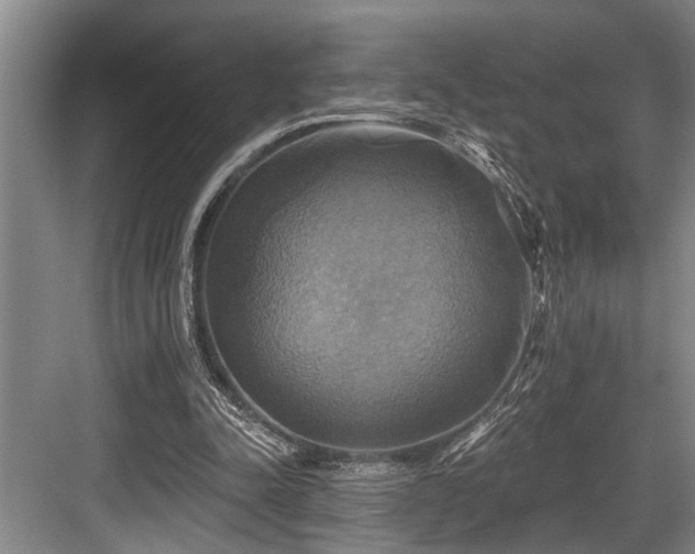 X0000084020342200702161233