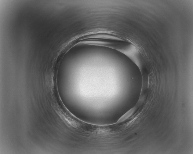 X0000084020350200702161233