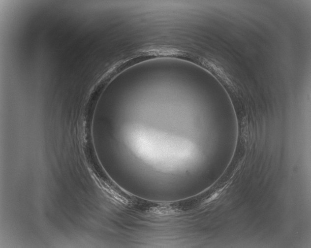 X0000084020351200702161233