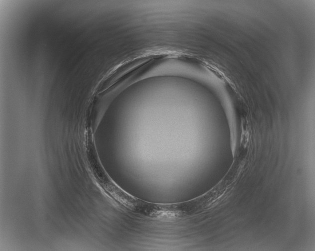 X0000084020352200702161233