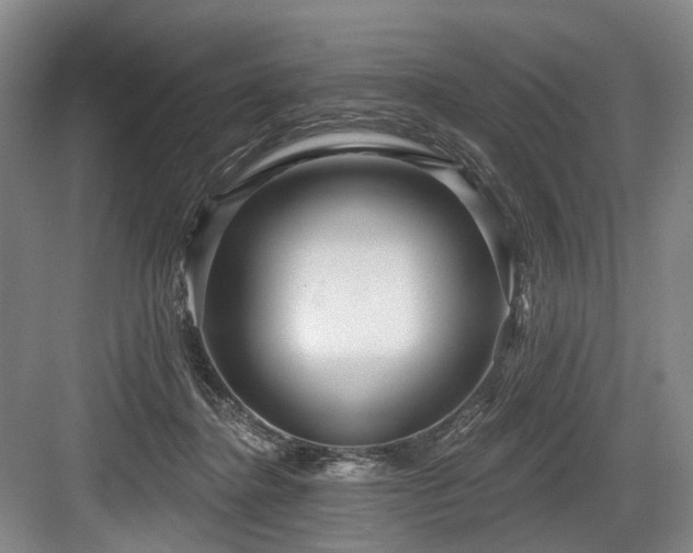 X0000084020364200702161234