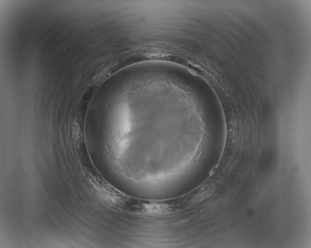 X0000084020371200702161234