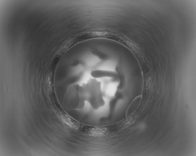 X0000084020373200702161234