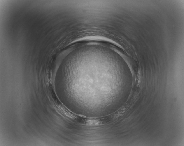 X0000084020376200702161234