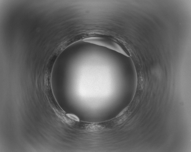 X0000084020379200702161234