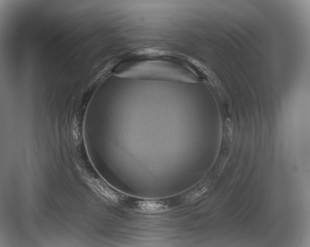 X0000084020380200702161234