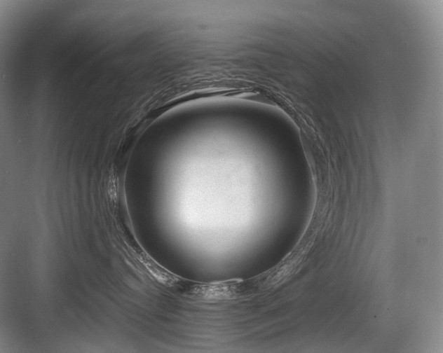 X0000084020384200702161234