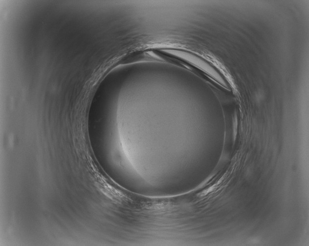 X0000084020385200702161233