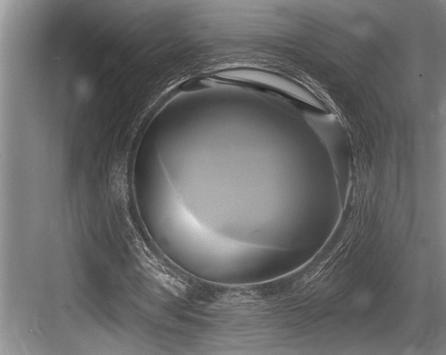 X0000084020386200702161233
