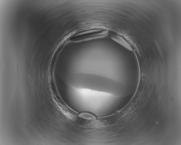 X0000084020390200702161233