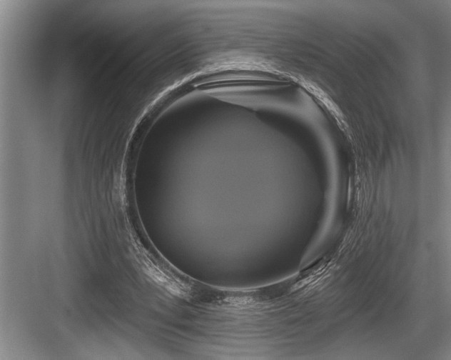 X0000084020391200702161233