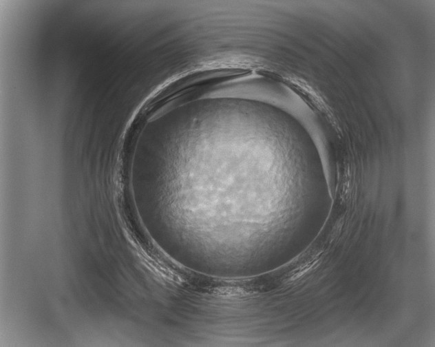 X0000084020392200702161233