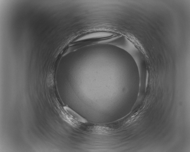 X0000084020393200702161233